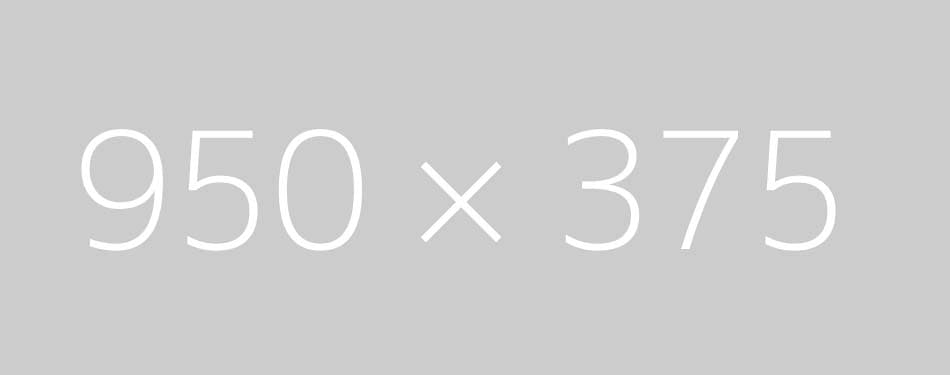 그래플링 기초: 포지션 이해하기